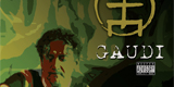 gaudi (live) on salt spring